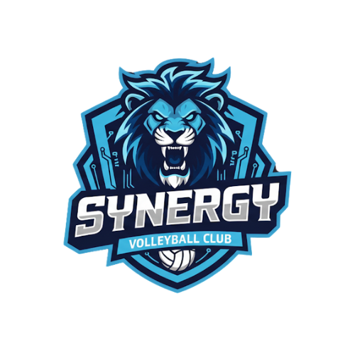 SYNERGY3
